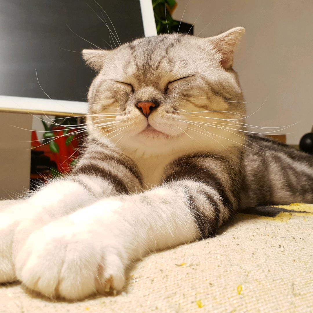 清晰吧老铁