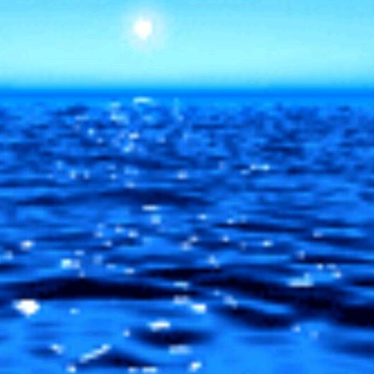 海世源地板