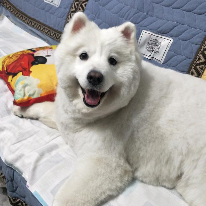 诱惑の丝
