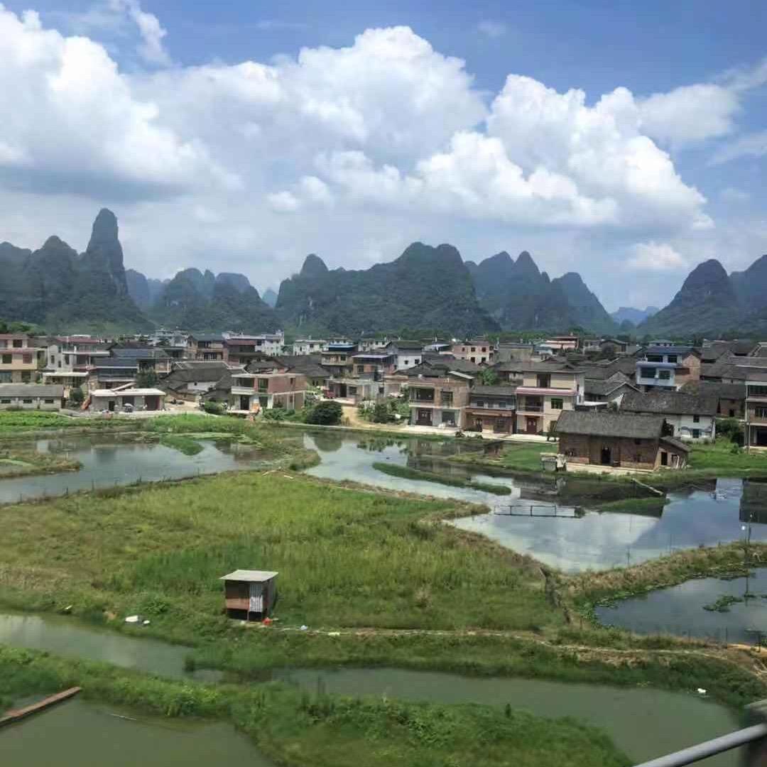 一别那年