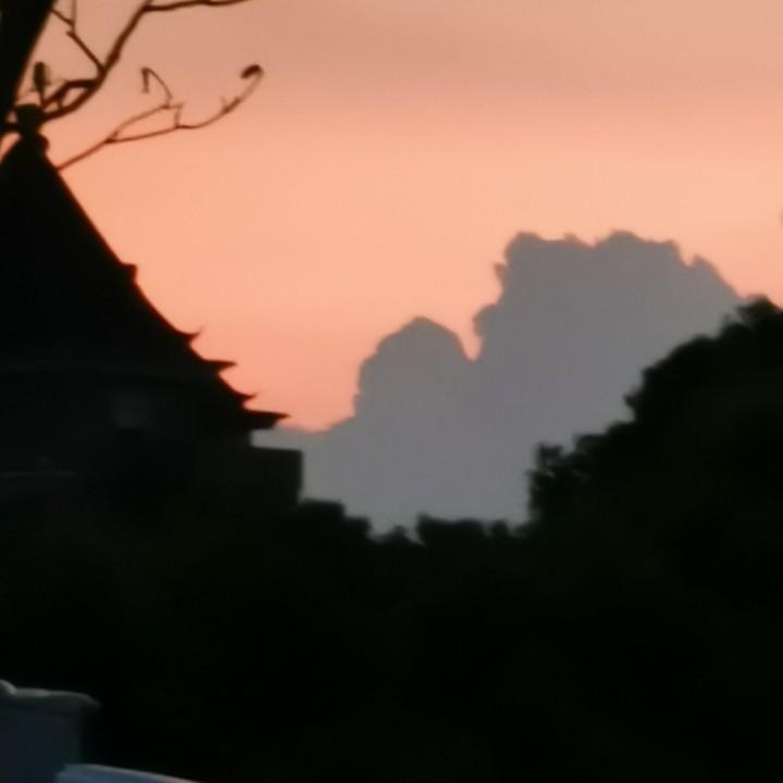 沉静的胸怀