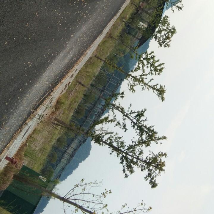 用户9179154737031