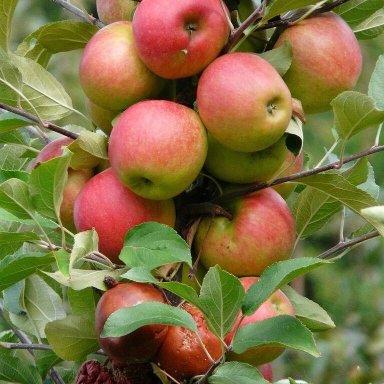 穿越时空的爱恋