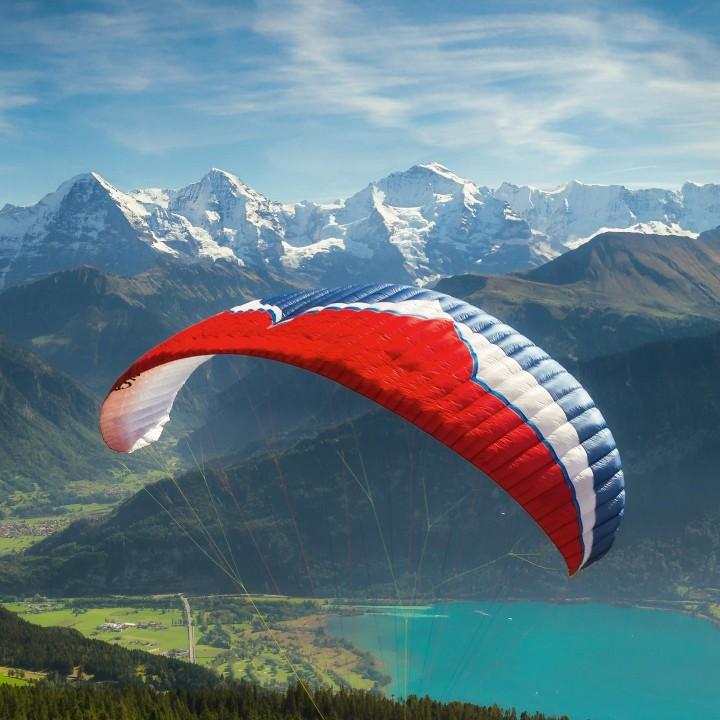 新能源汽车闪购