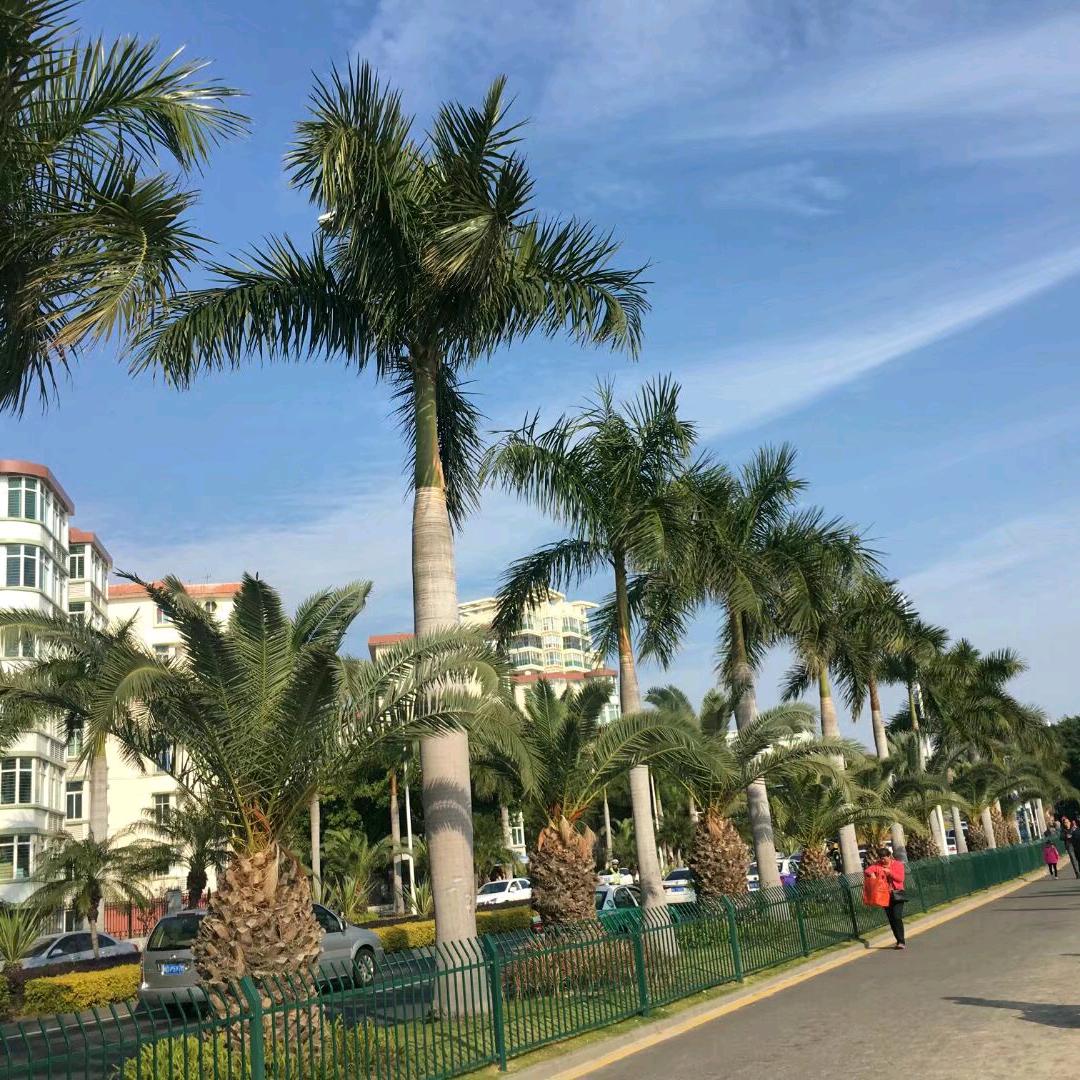 小雨点《开心快乐每一天》