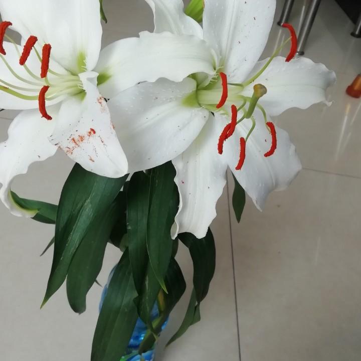 我要努力，奋斗，