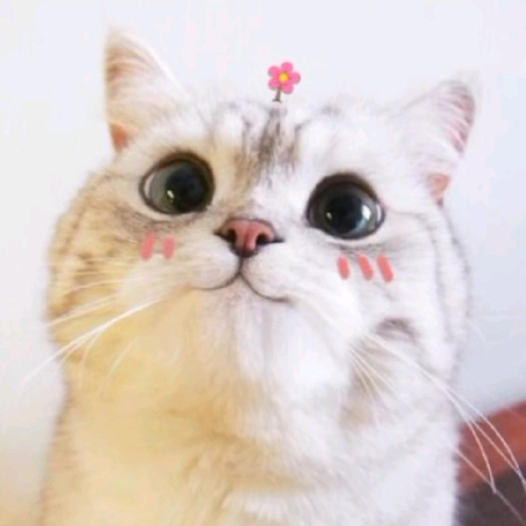 迷鹿