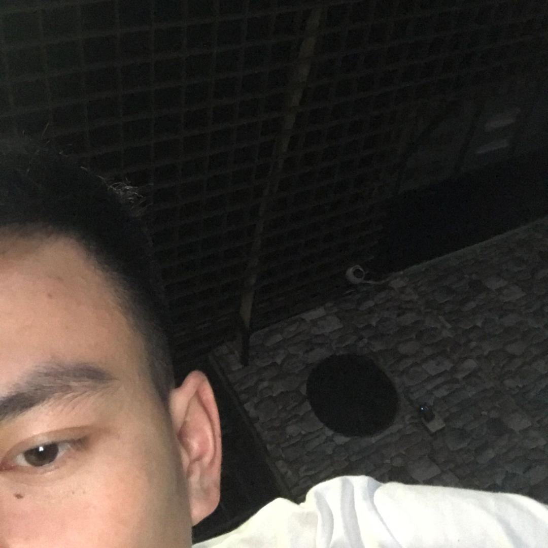 臭猪