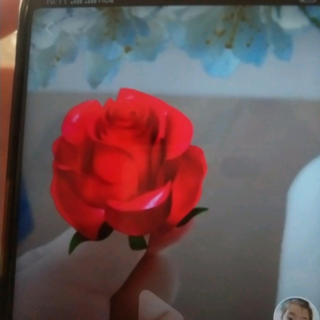 香椿，槐花，供应商