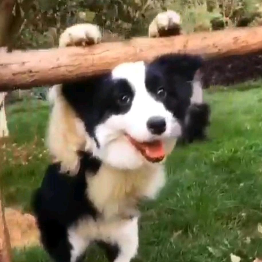 什么网名能让你好奇