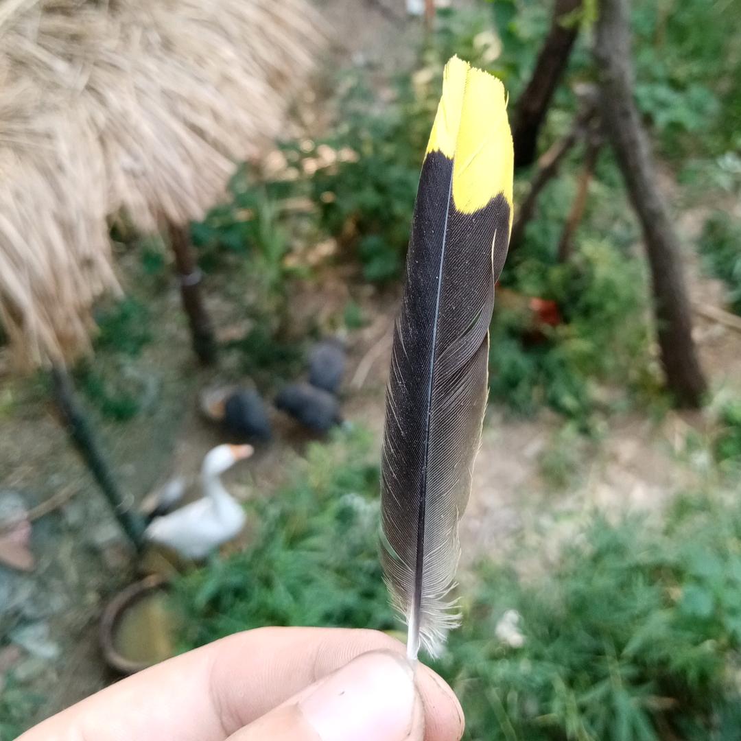 阜阳陈和合会展旅游