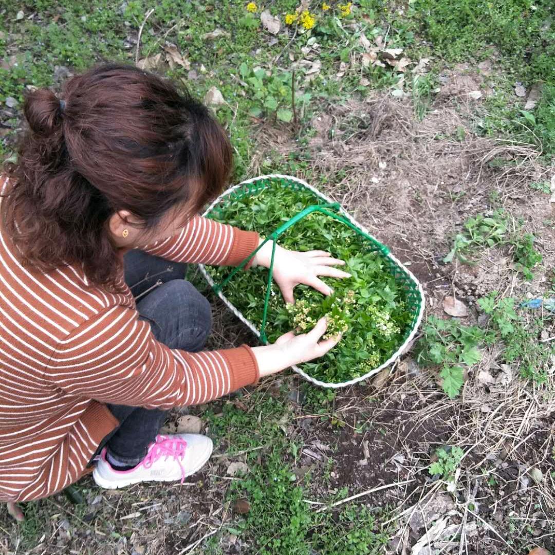 迎春接福，我爱我家江姐