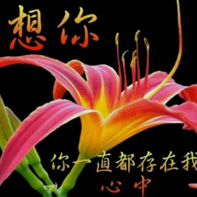 相逢是缘（拒绝连赞）