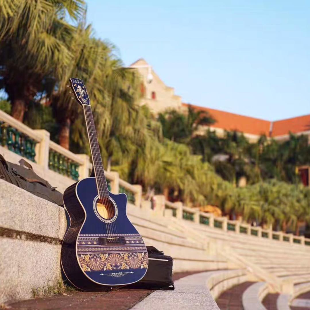 百灵琴行. 乐器批发