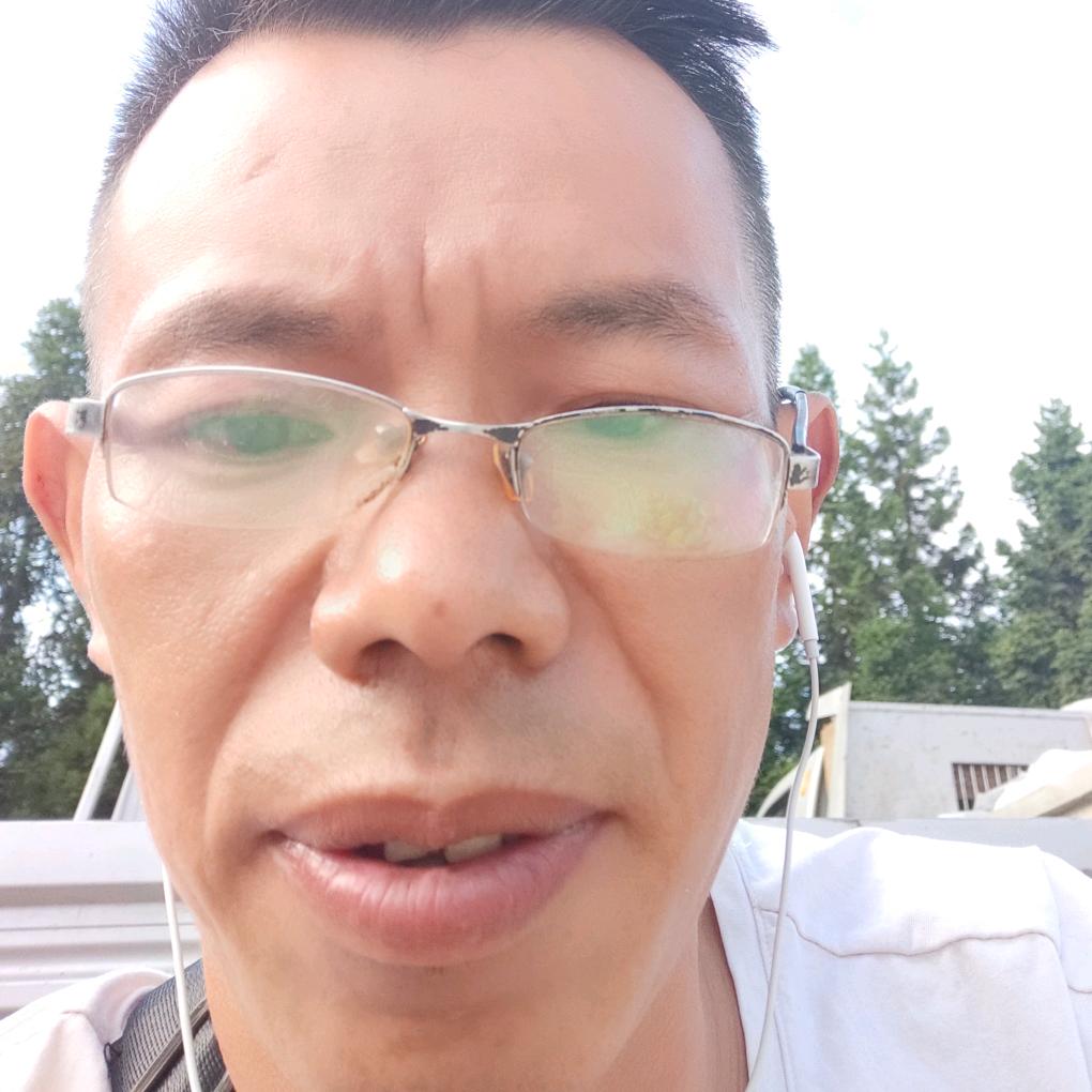 向阳生态养殖土鸡