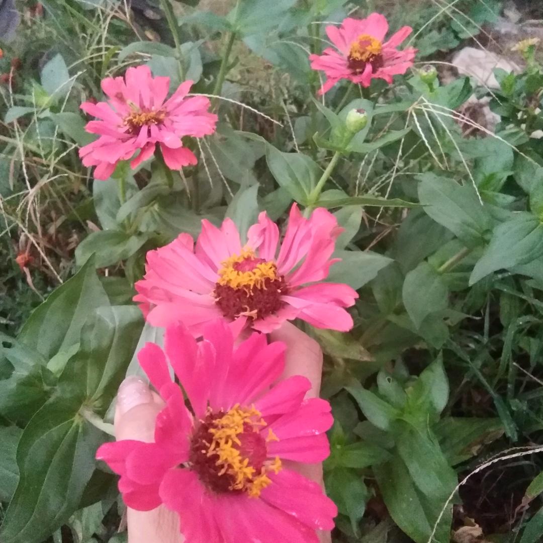 心飞飞，《不私聊》