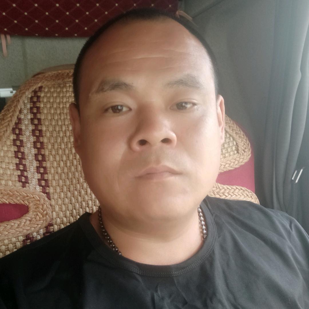 专业伐树