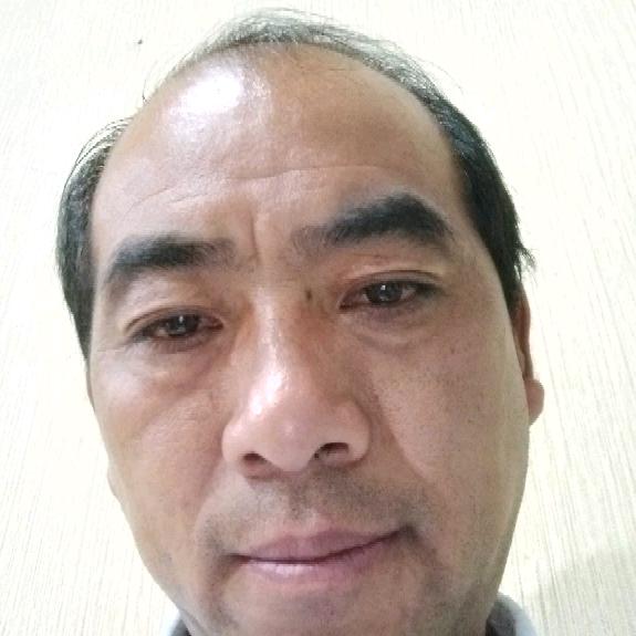 枫叶有情