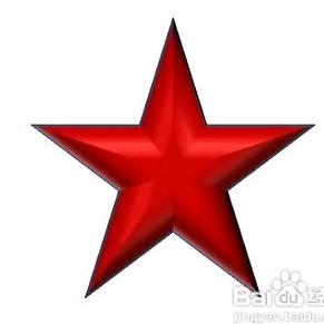 YANG杨