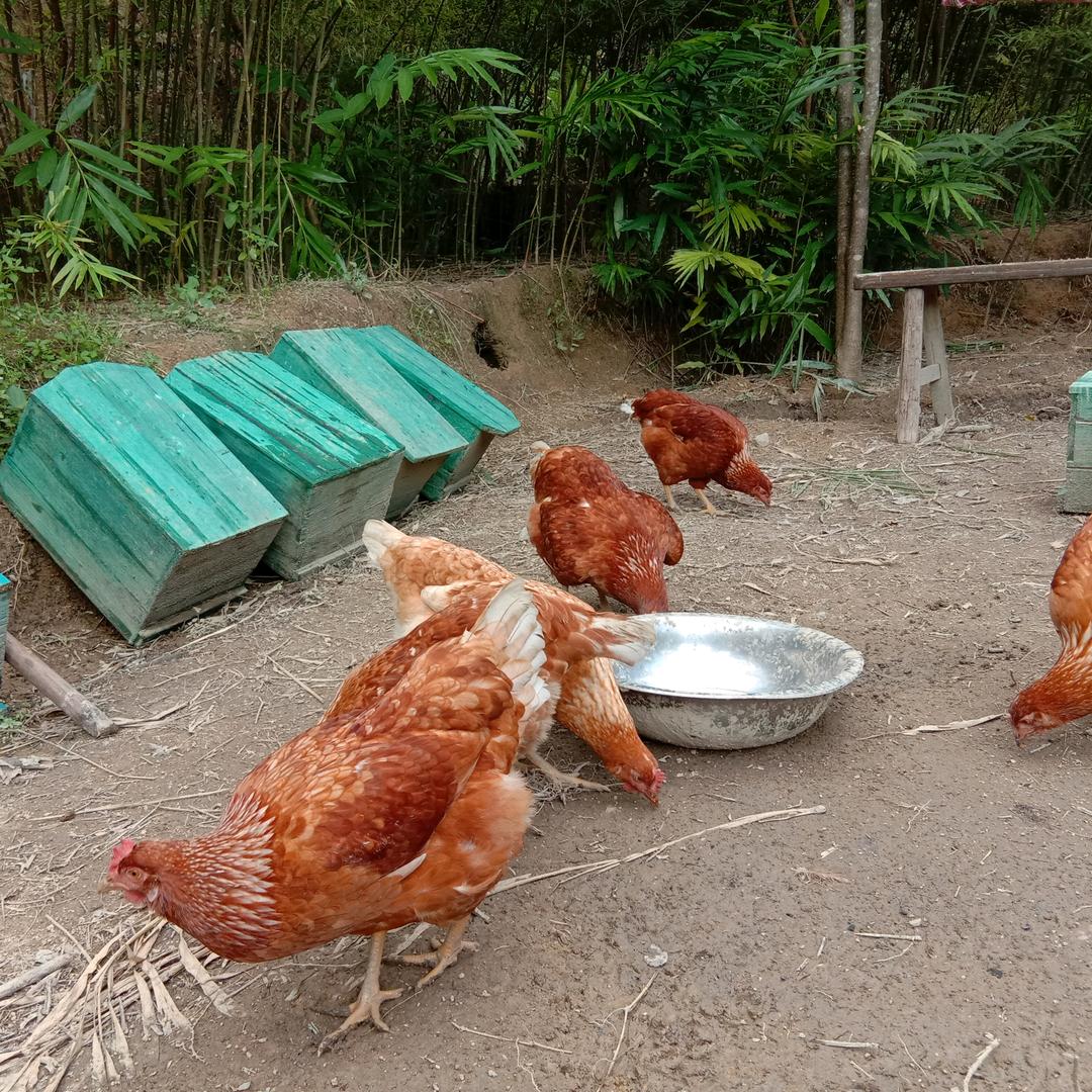 贝贝美生活