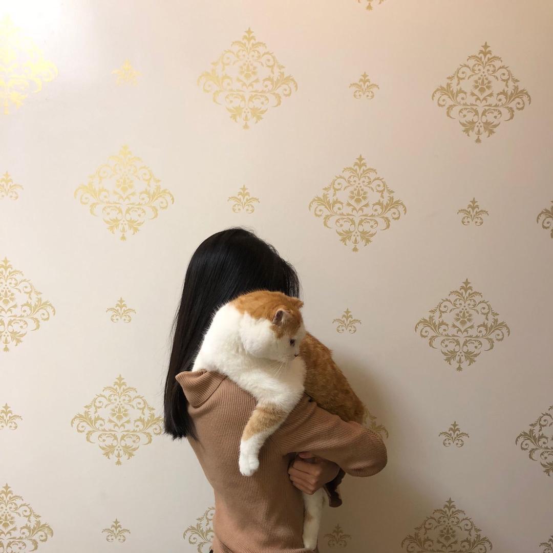 黏黏爱撒娇