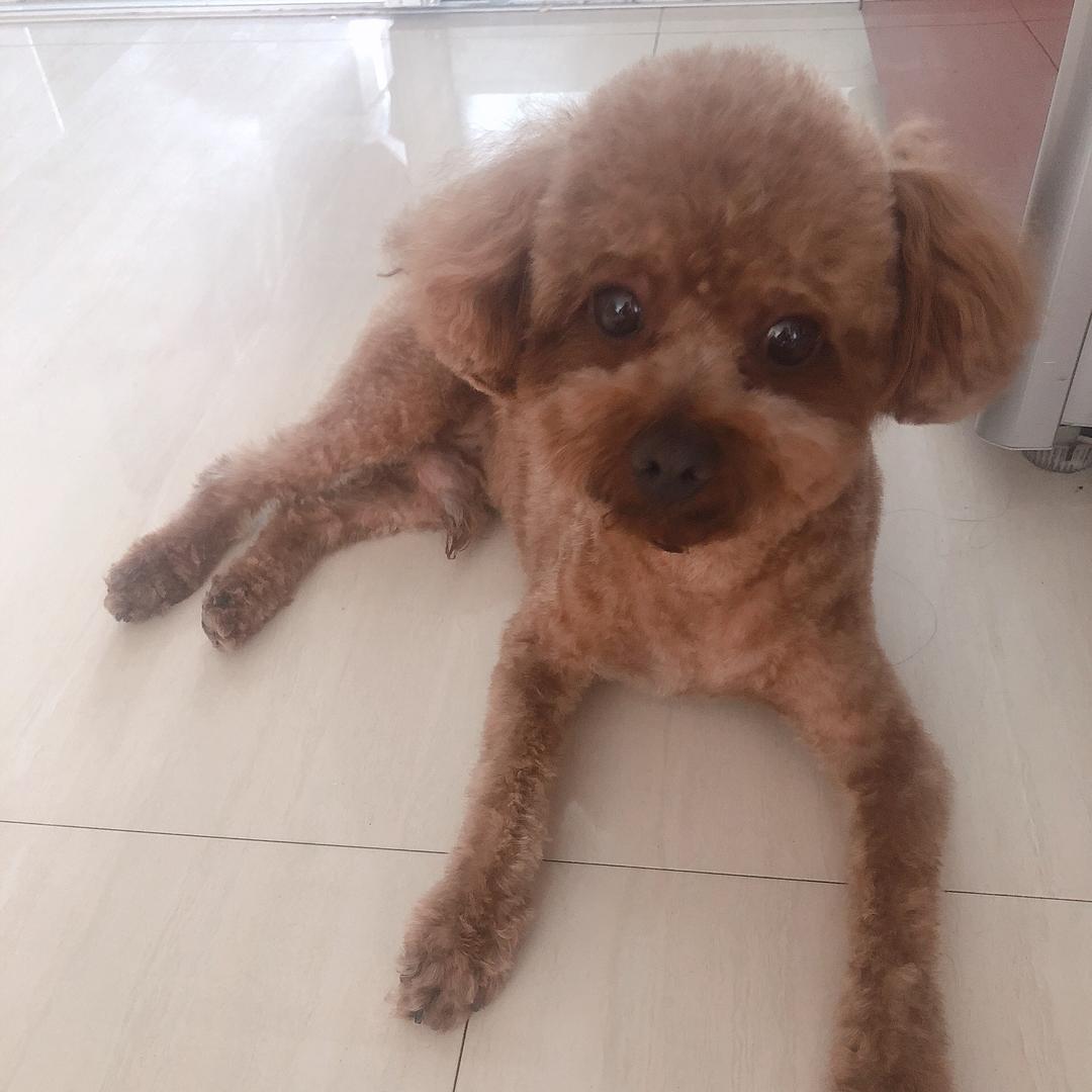 别抢我的香菜梗