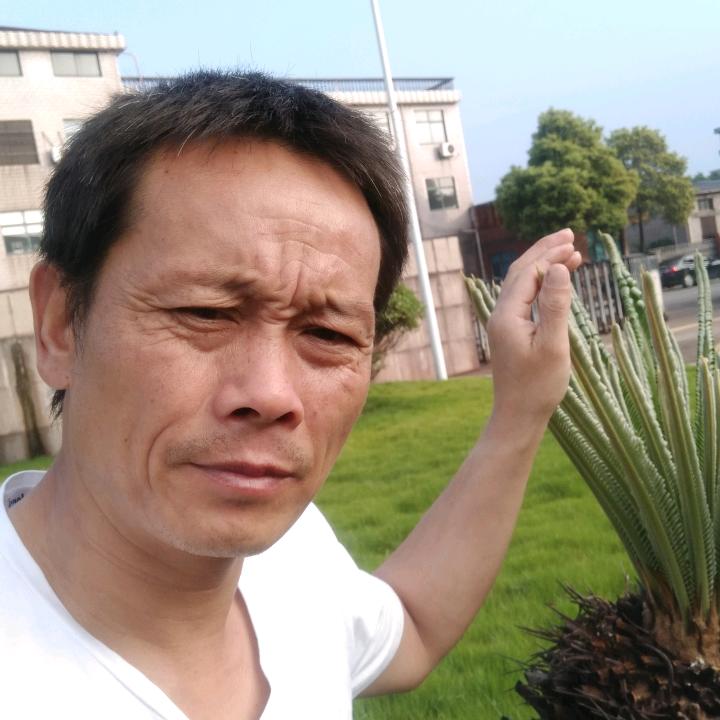 随心❤️所欲