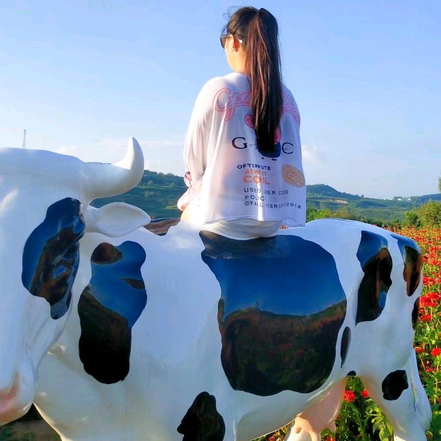 🔥☁️云姐🔥