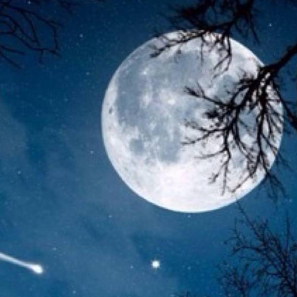 中华五金木林森灯具