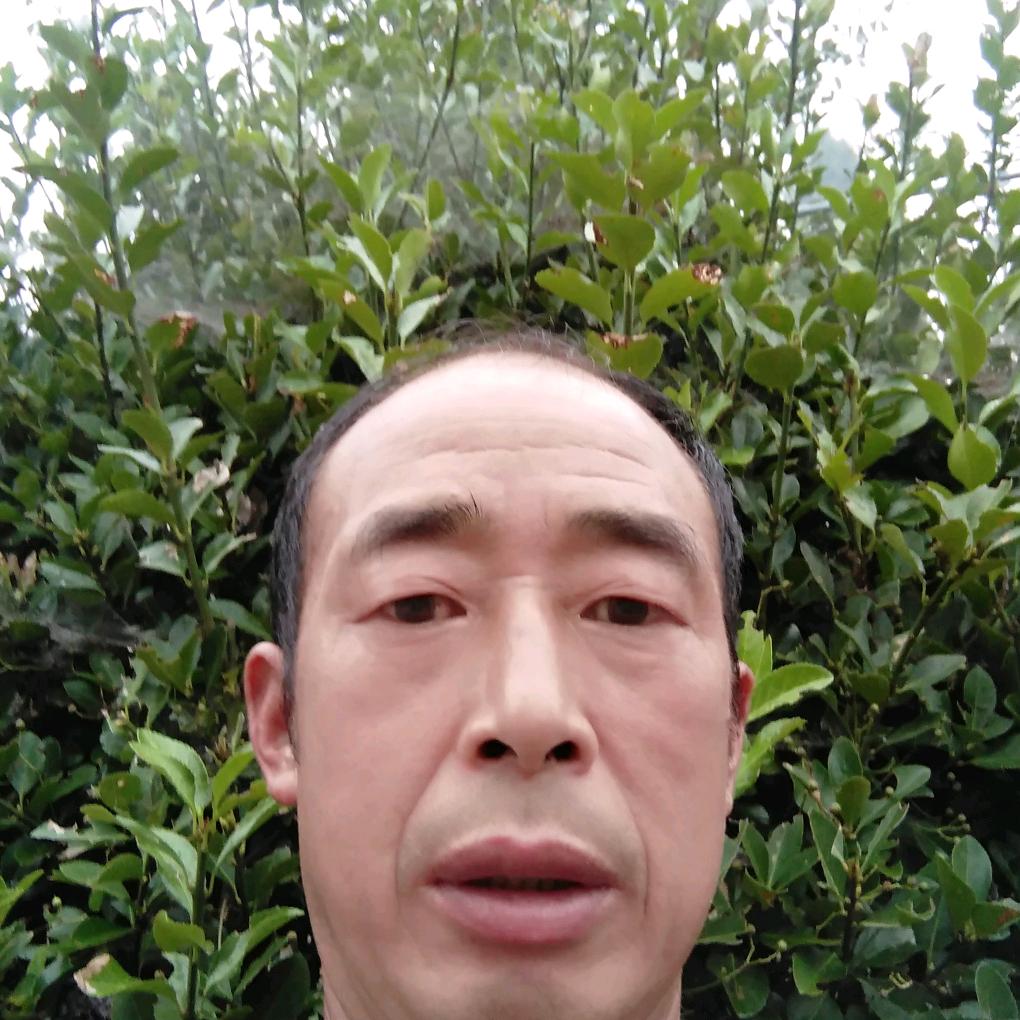 壮汉杨正和