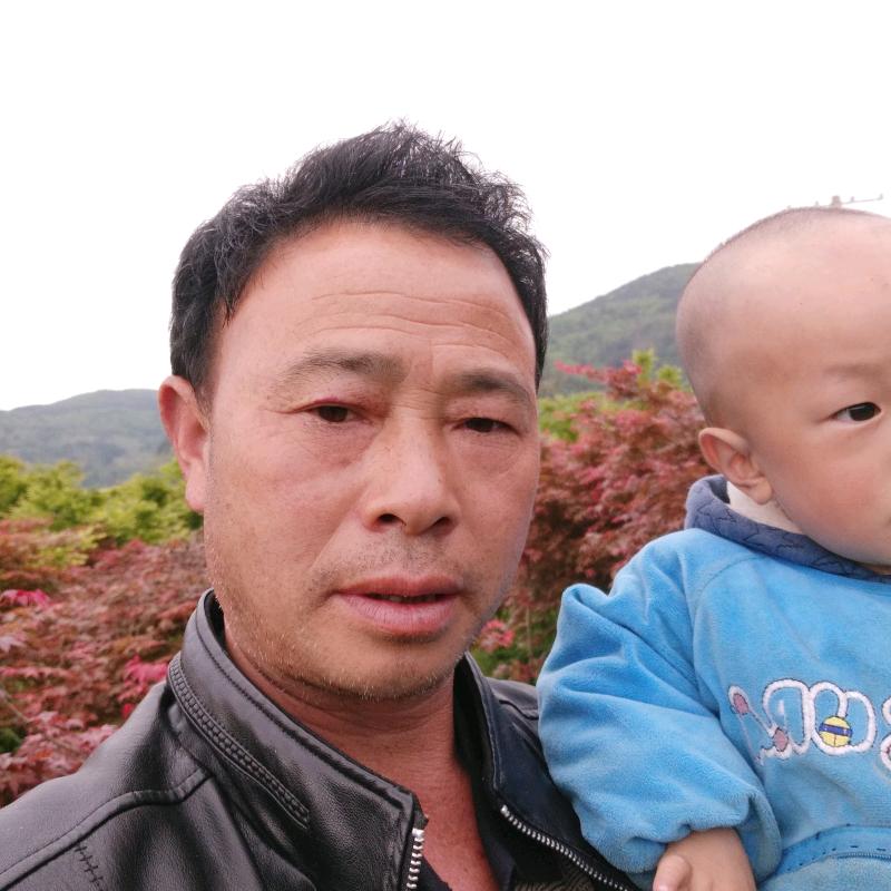 宴哥