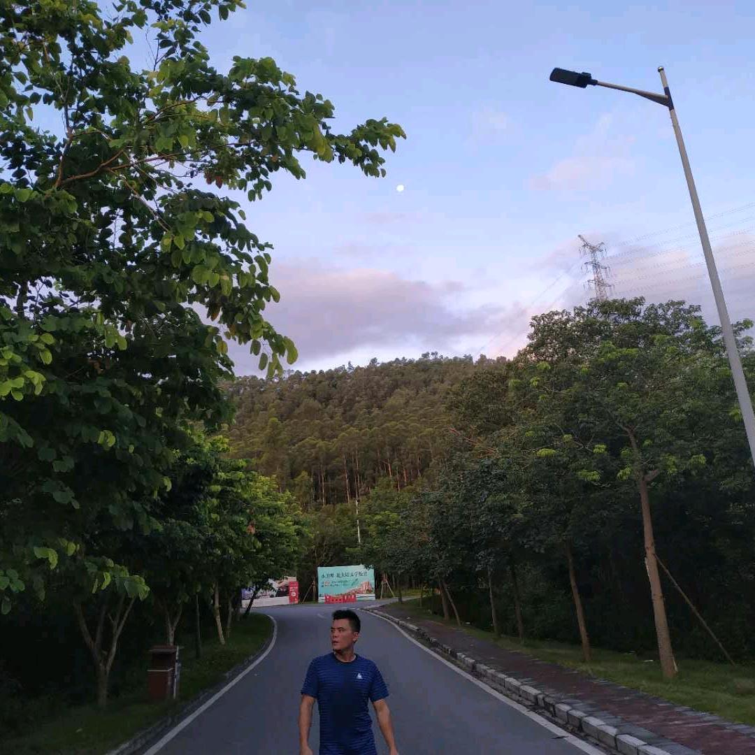 老七