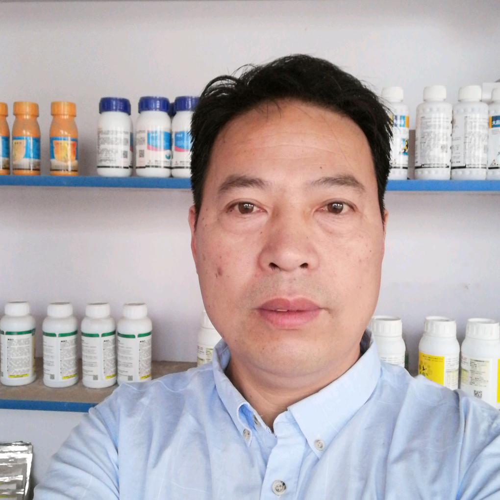 杨永明，山药高产技术服务
