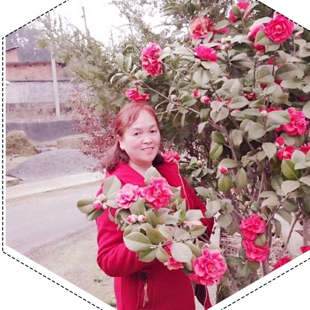 莲莲🍀