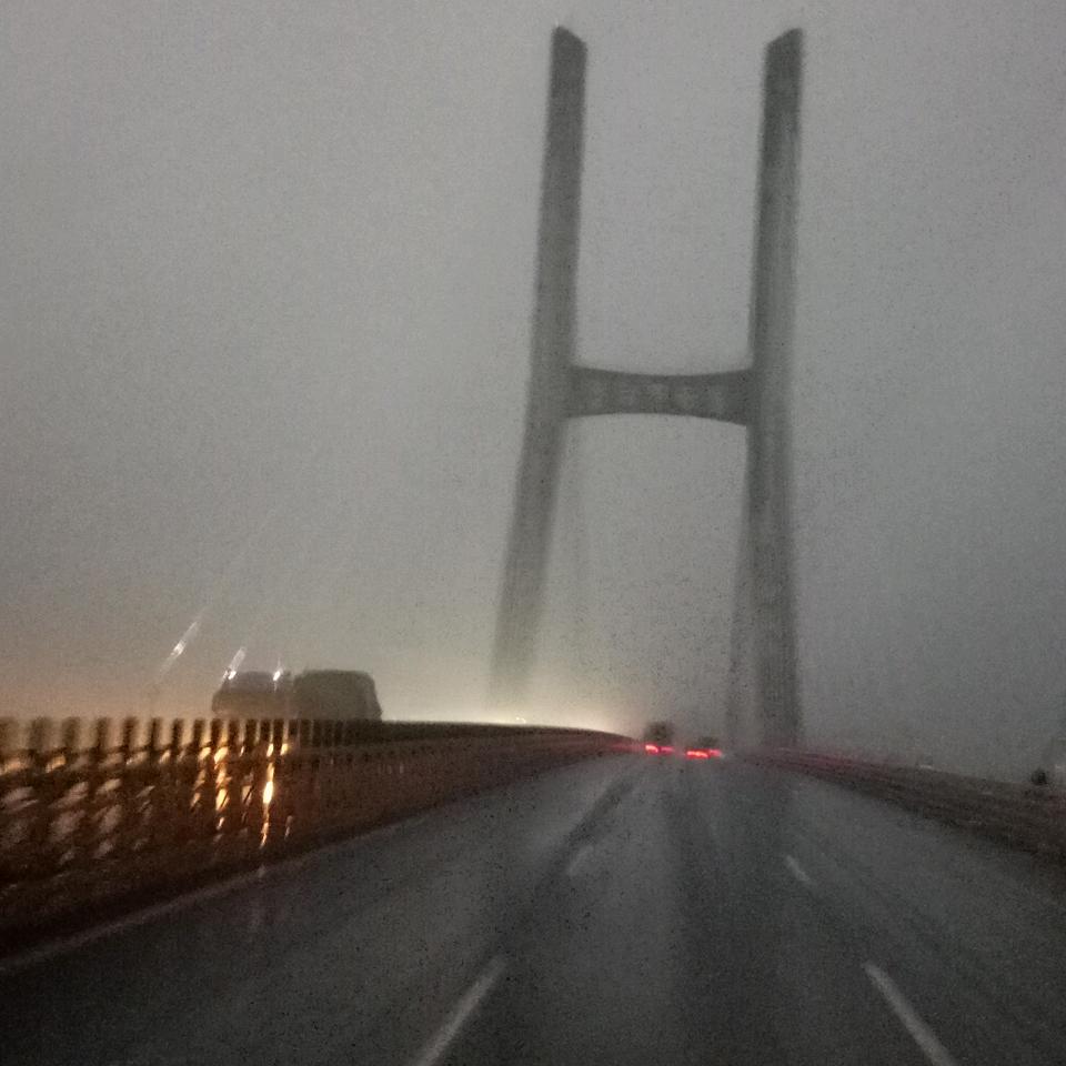 映山红