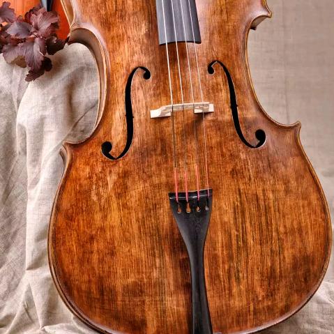 卡萨帝厨房推荐官香香