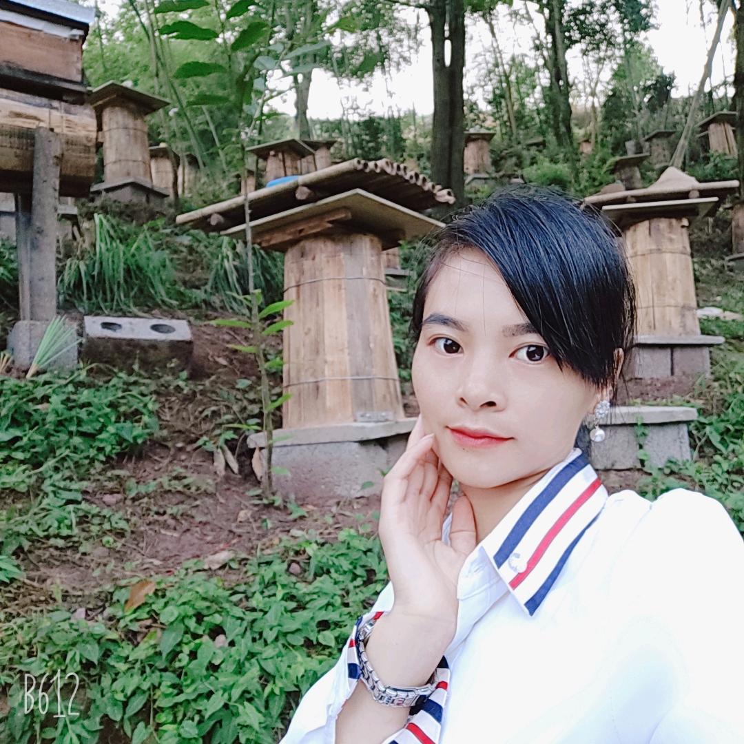 德先专业土养圆桶蜂