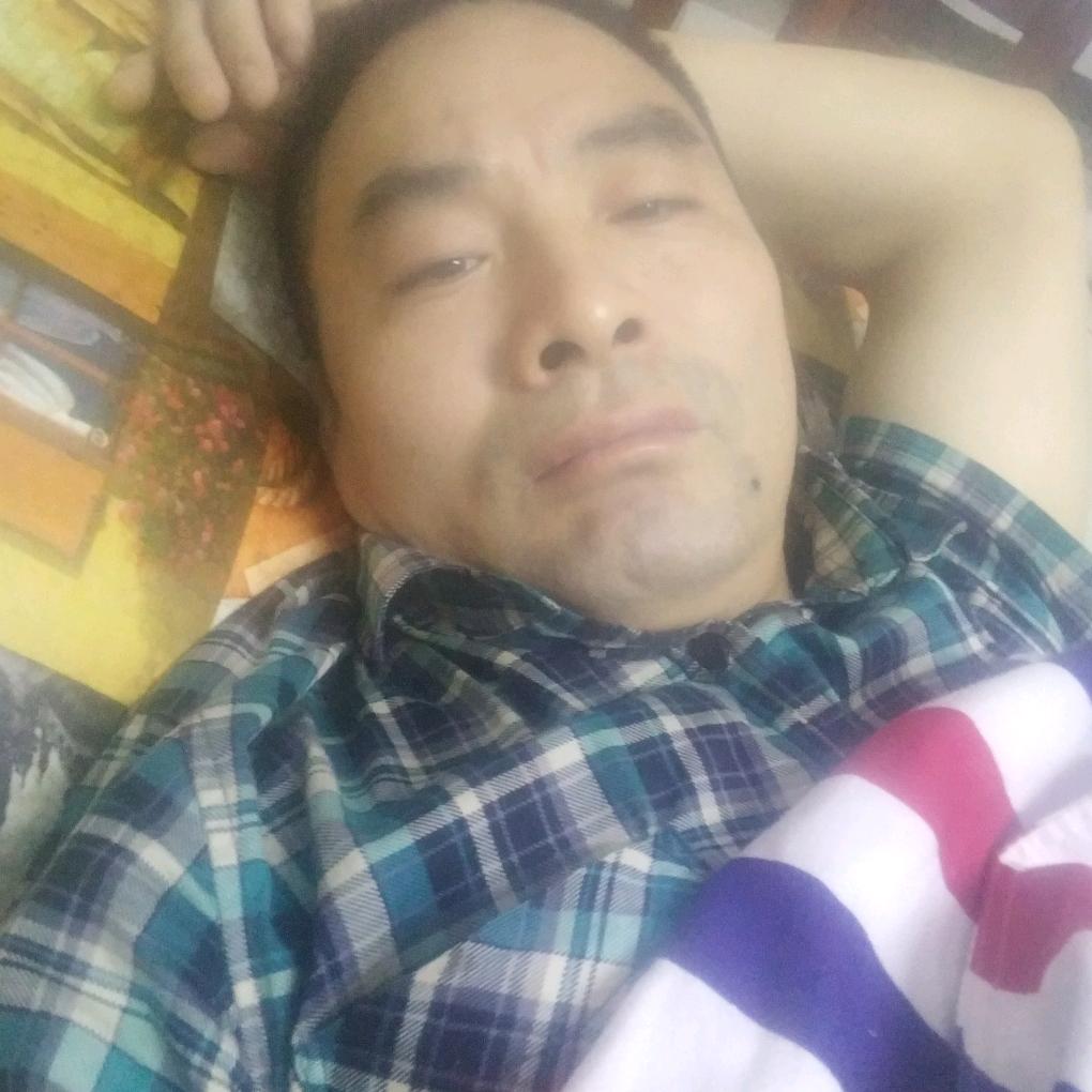 笨熊