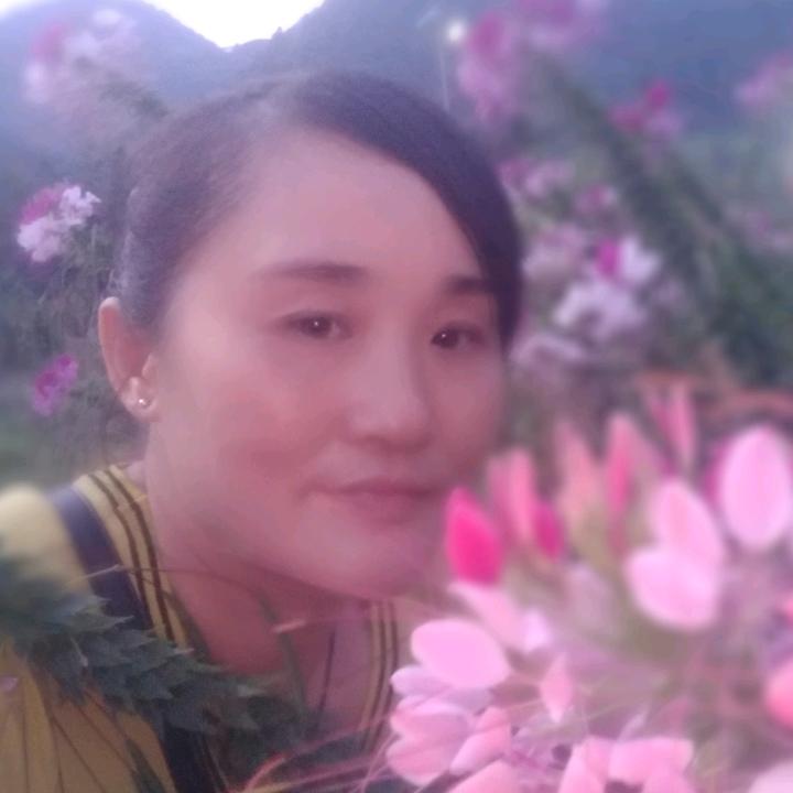 忘掉过去，开心过好每一天