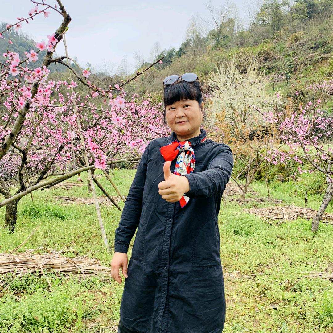 千岛小鼠（请不要连赞和秒赞）