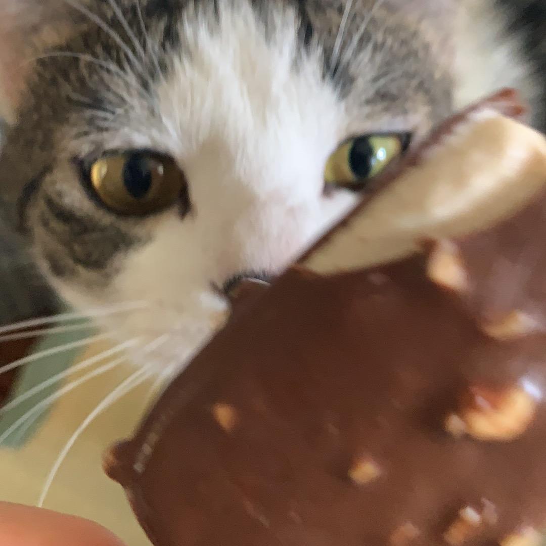 dudu