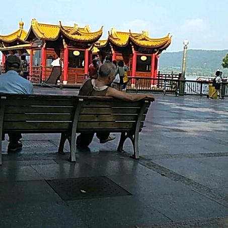 真心