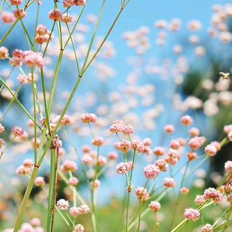 跑调大姐姐🎵🎸