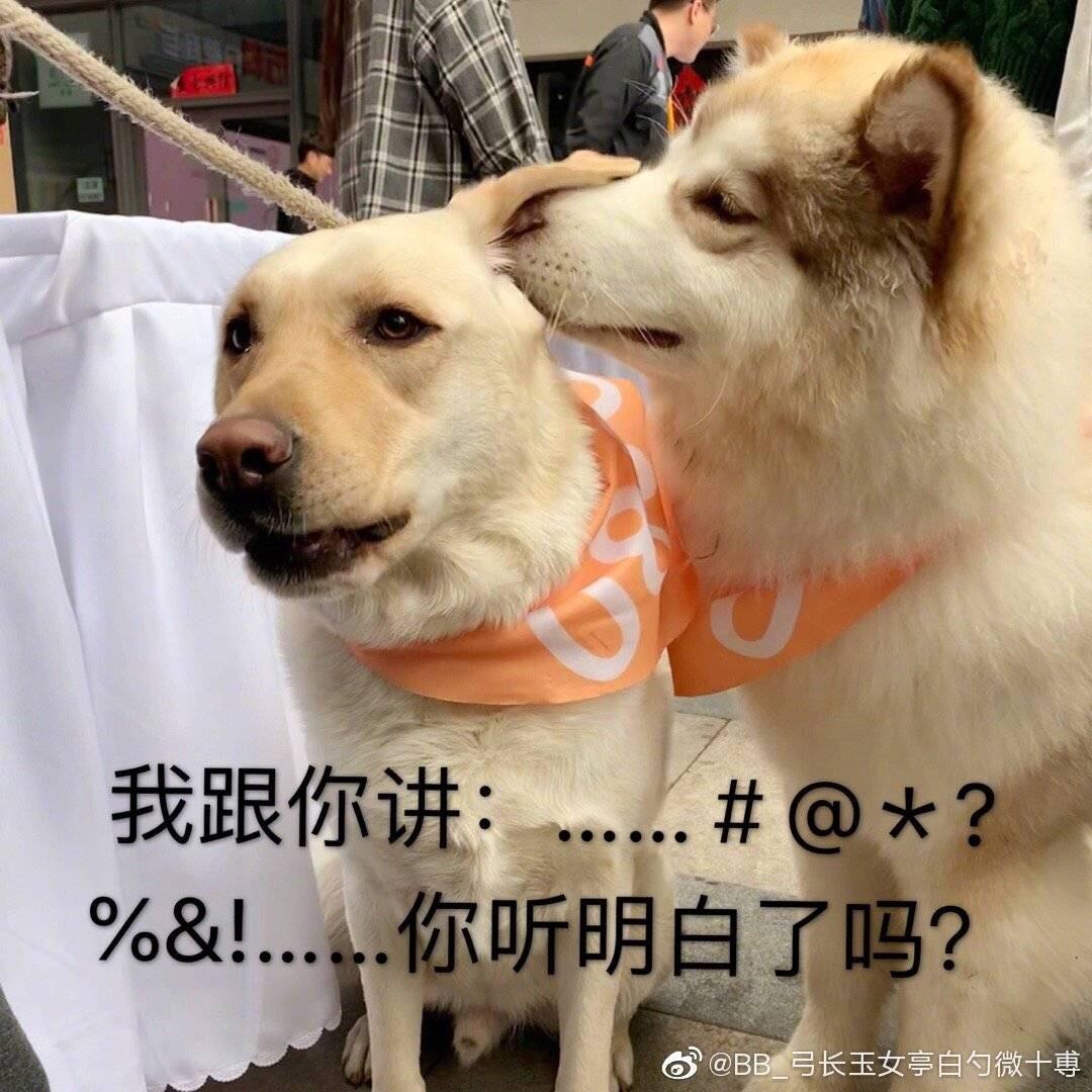 是阿奇i