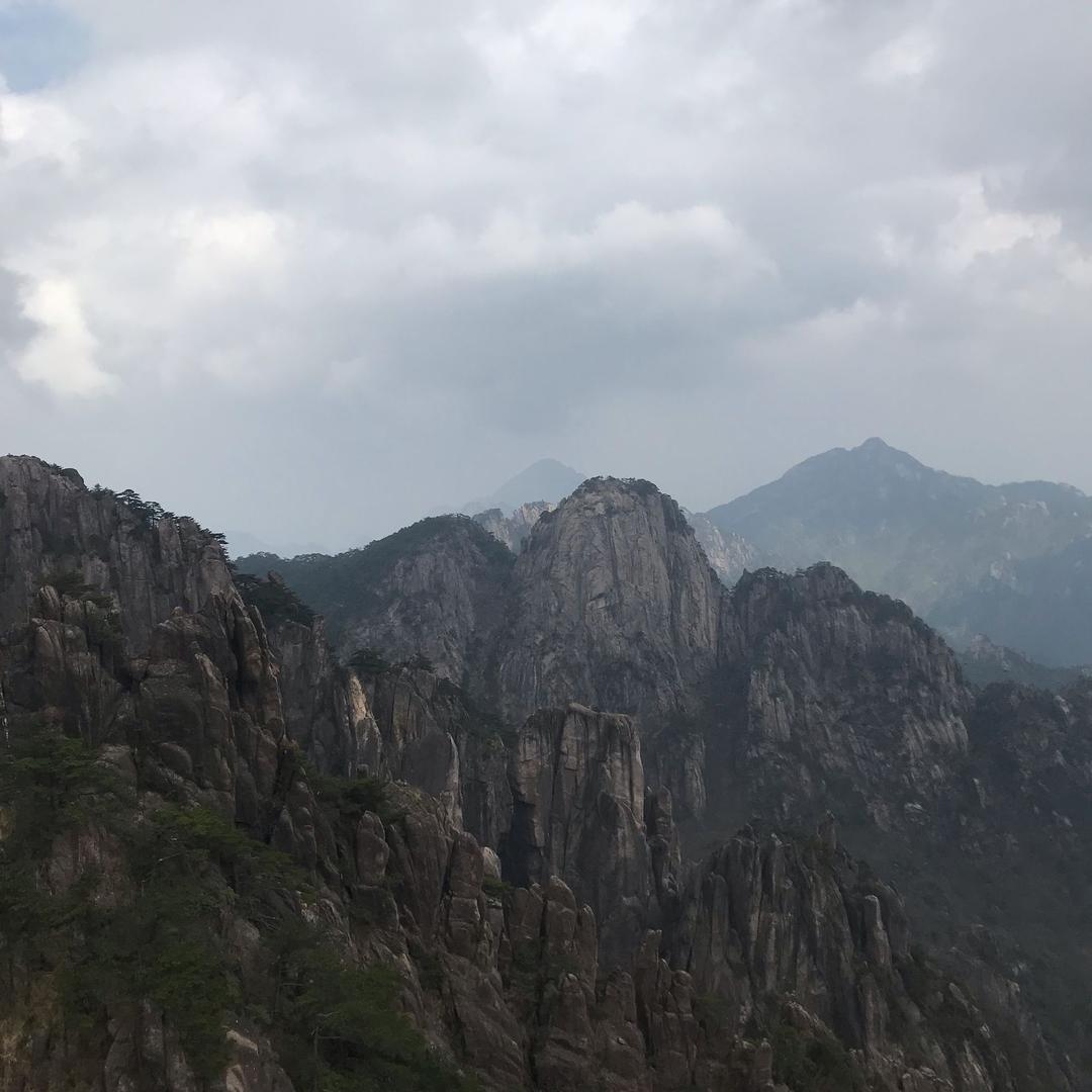 麋鹿