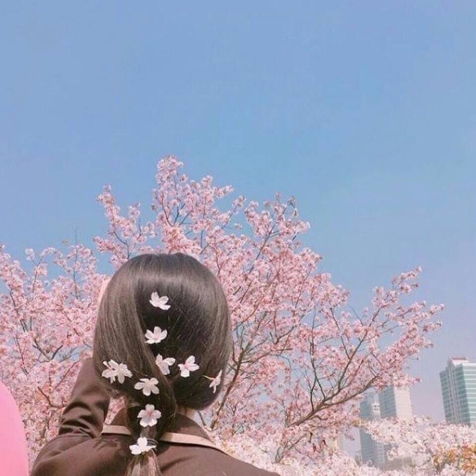 南方菇凉