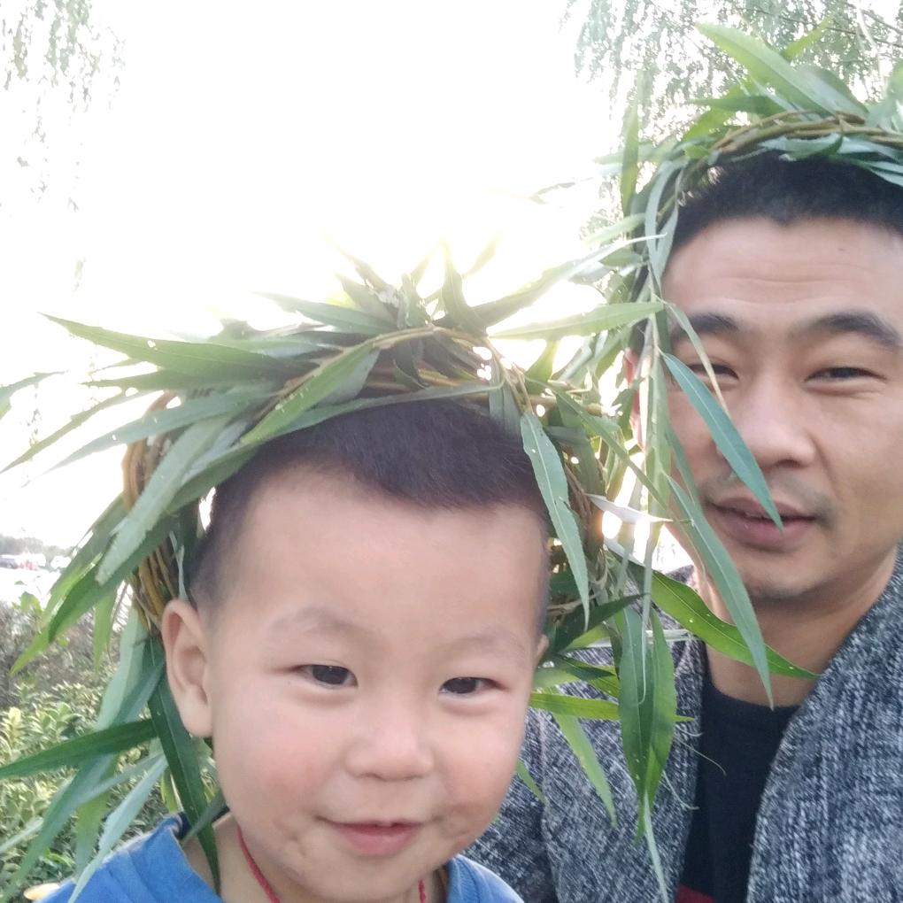 波菜