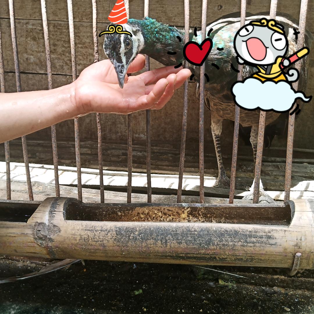 涵 馨妈妈