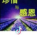 枯叶蝶