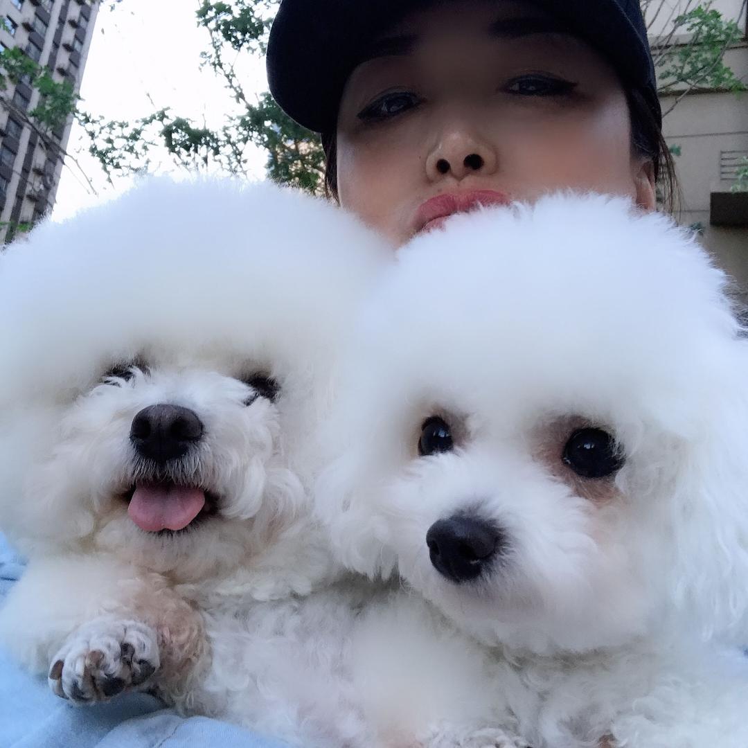 热爱生活的小娘惹：🌻🌻
